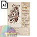 Blok szkicowy z papierem ekologicznym A3 100 arkuszy mieszanych Zebra