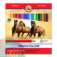 Kredki trójboczne Triocolor 36szt - kredki_tricolor_konie_3145_36szt_later_plastyczne_lublin_pl_1ac.png