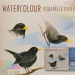 Blok akwarelowy Art expert 300g  A3