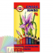 Kredki Omega Jumbo 18 kolory Koh-I-Noor