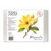 Papier do akwareli 100% cotton 10/300g A4 Magnolia